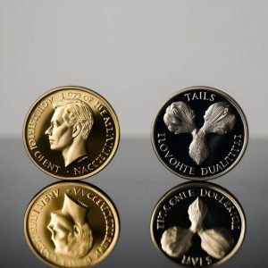 หลักการที่ใช้เล่น